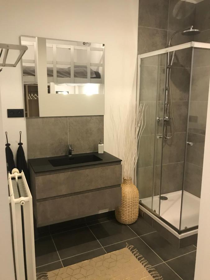 Antwerp West Side Apartment Zwijndrecht ภายนอก รูปภาพ